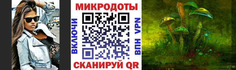 купить наркоту  Советск  Галлюциногенные грибы Cubensis 